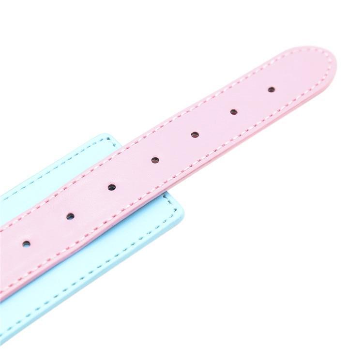 Cute Pastel Pink And Blue Collar With Leash Bdsm Puppy Pet Play
