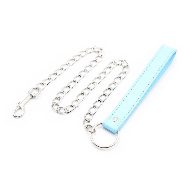 Cute Pastel Pink And Blue Collar With Leash Bdsm Puppy Pet Play