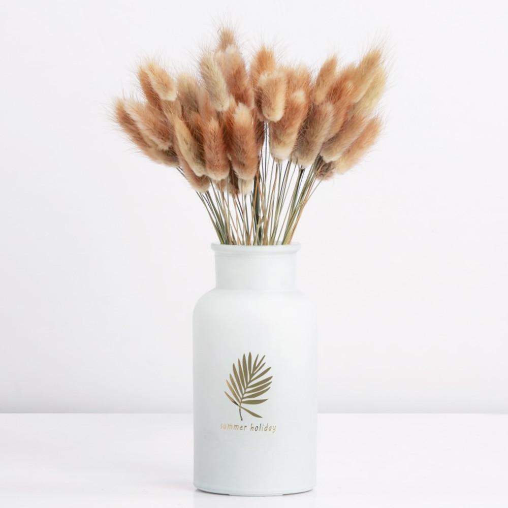 Dried Bunny Tail Grass
