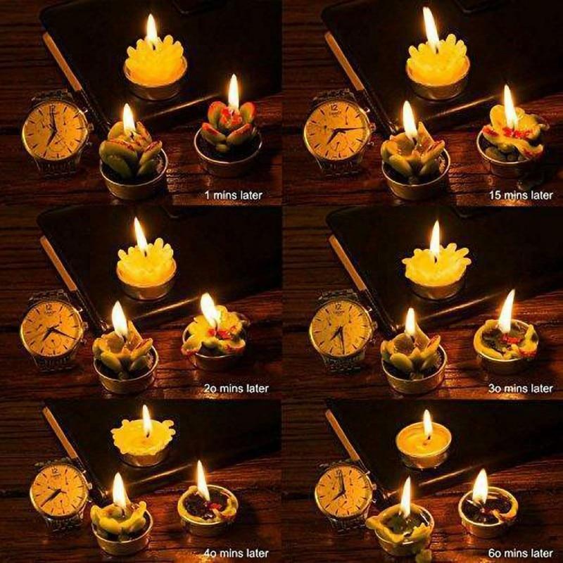 6Pcs/Set Artificial Cactus Succulent Plant Green Mini Candles Dcor