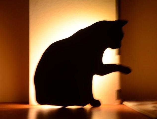 Cute Cat Wall Led Motion Sensor Lamp Smart Night Light