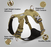 True Love Lightweight Dog Harness Green