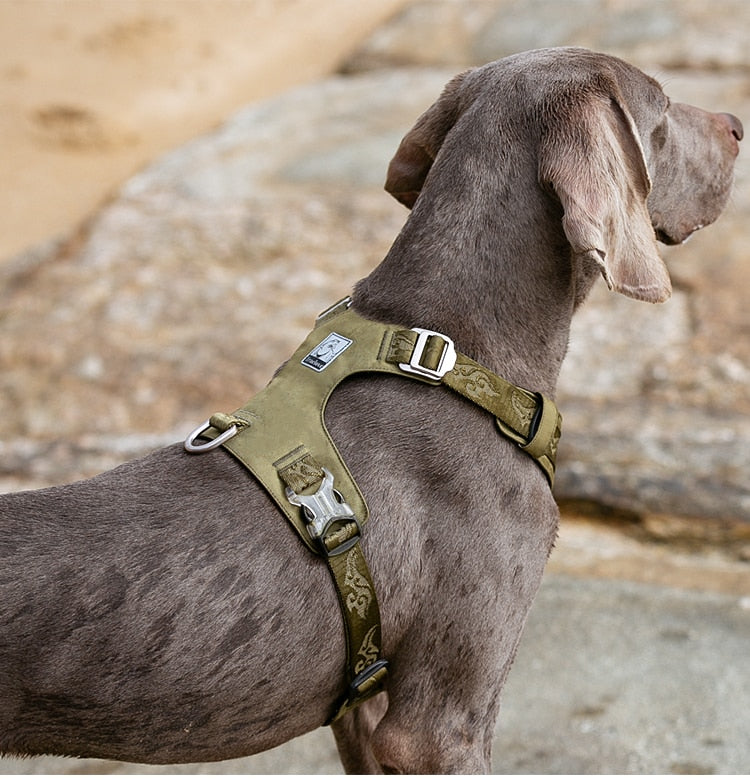 True Love Lightweight Dog Harness Green