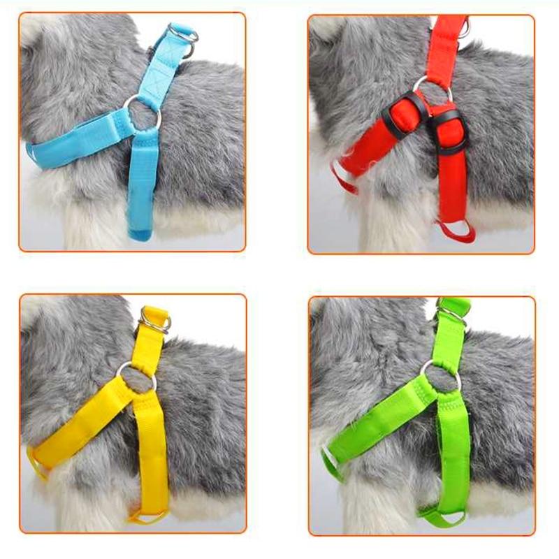 1 Sets of Hod Health & Home 1 Sets Of Usb Rechargeable Led Nylon Dog Collar Harness Flashing Light Up Safety Pet Collars