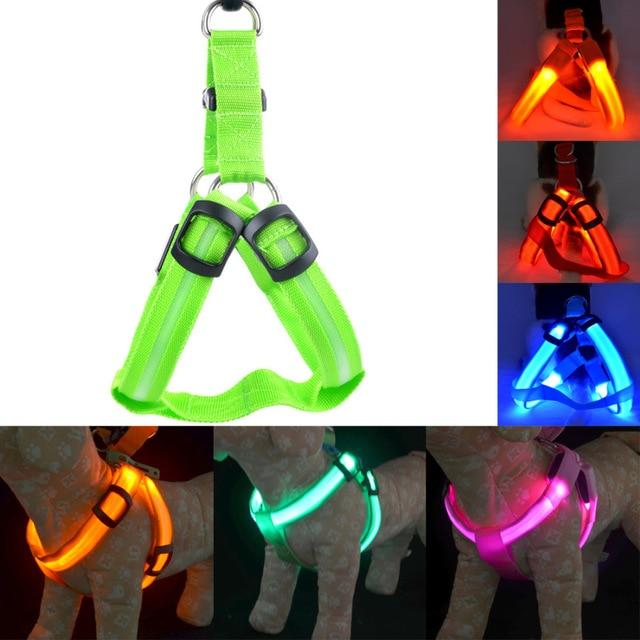 1 Sets of Hod Health & Home 1 Sets Of Usb Rechargeable Led Nylon Dog Collar Harness Flashing Light Up Safety Pet Collars