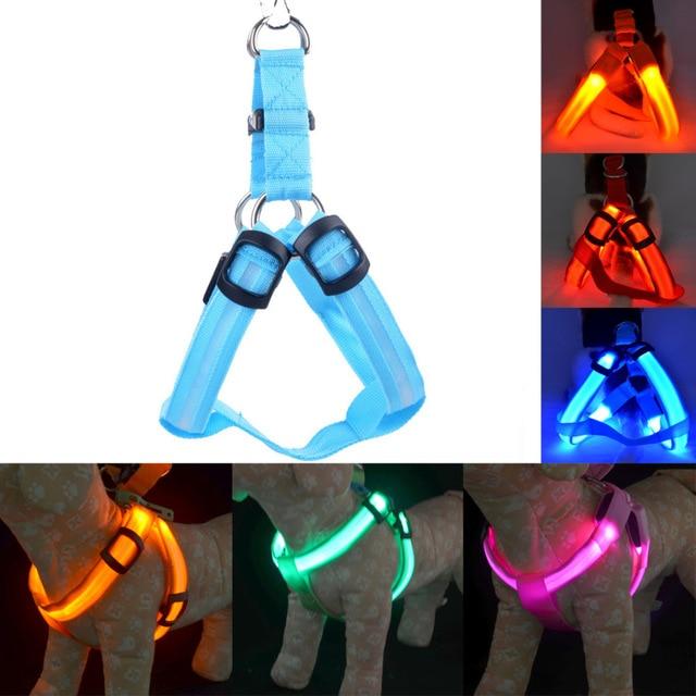 1 Sets of Hod Health & Home 1 Sets Of Usb Rechargeable Led Nylon Dog Collar Harness Flashing Light Up Safety Pet Collars