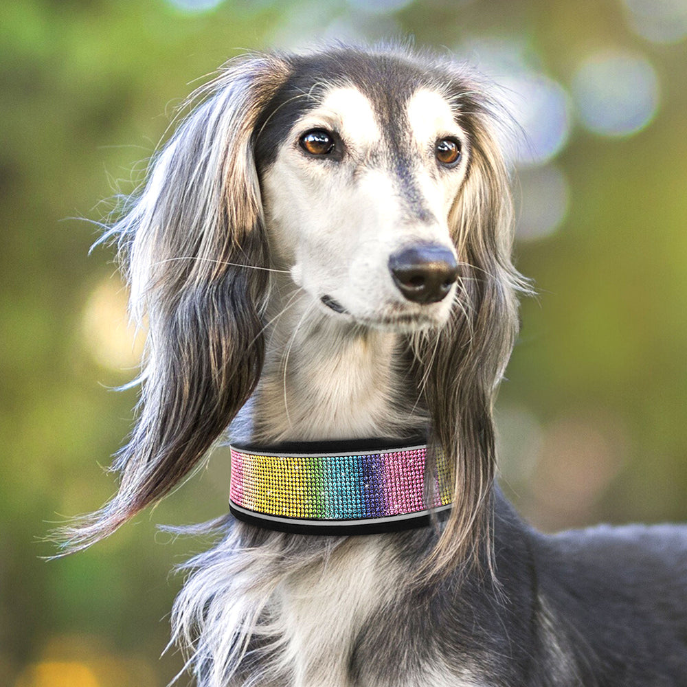 Reflective Bling Rhinestone Diamond Soft Dog Collars