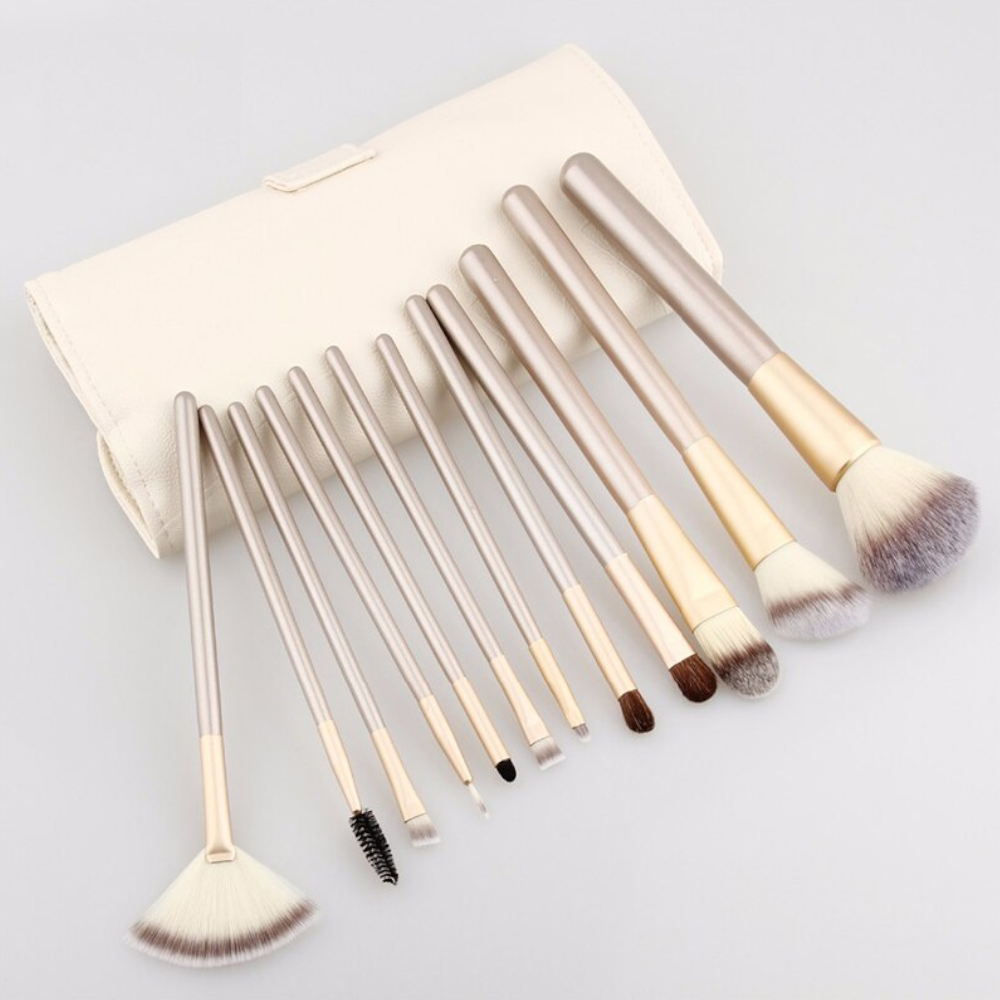 Professional 12 Pcs Make Up Brush Kit