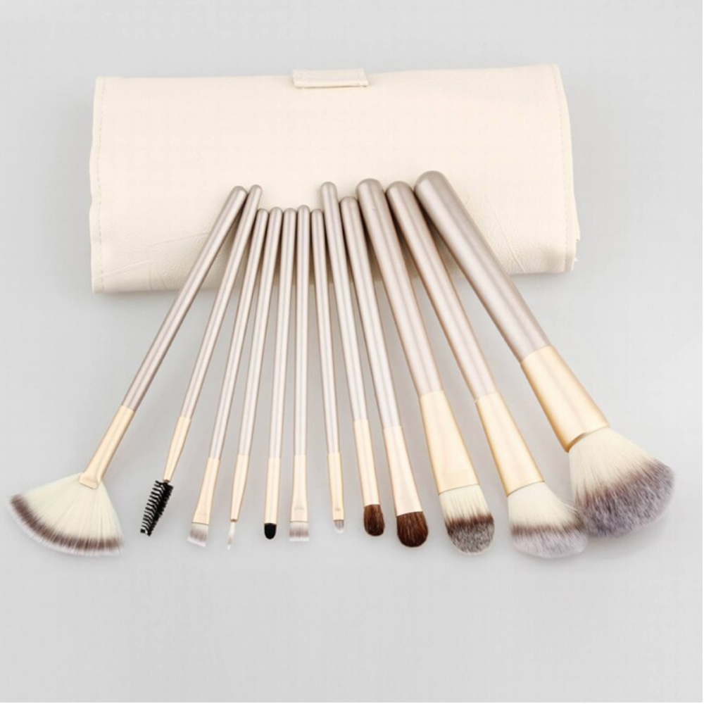 Professional 12 Pcs Make Up Brush Kit