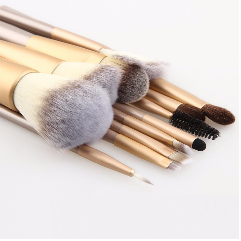 Professional 12 Pcs Make Up Brush Kit