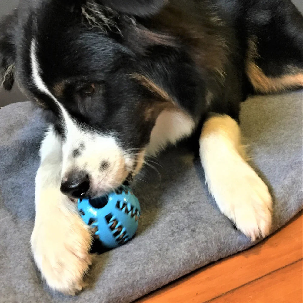 Red Treat Ball