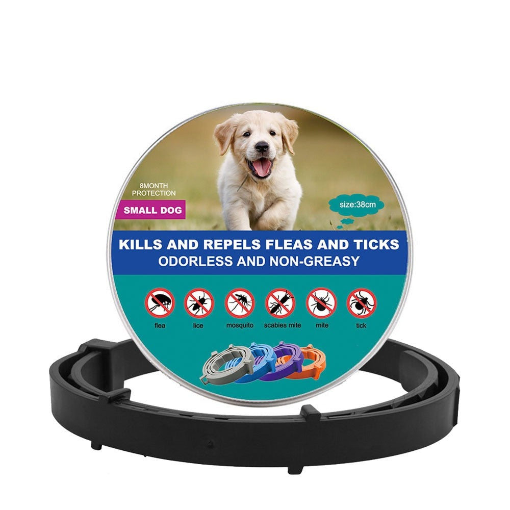 New Pet Dog Cat Collars Veterinary Anti Flea Tick For Cats Dogs
