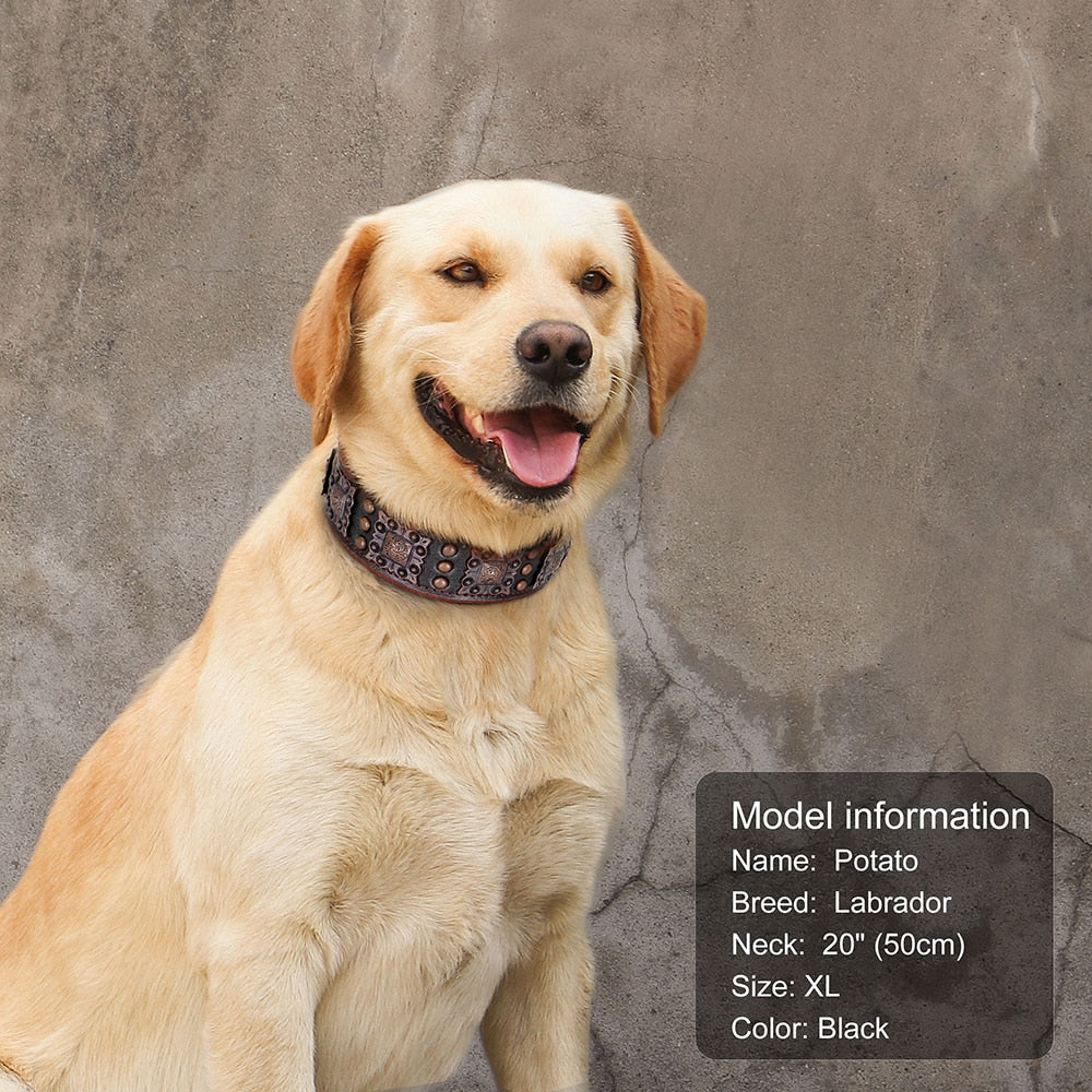 Stylish Rivets Leather Large Dog Collars