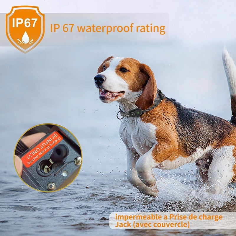 Anti Barking Dog Collar Rechargeable Automatic Stopper Effective Ip67 Waterproof Collars For