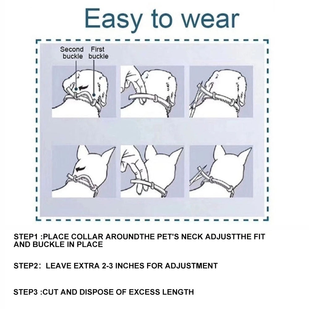 New Pet Dog Cat Collars Veterinary Anti Flea Tick For Cats Dogs