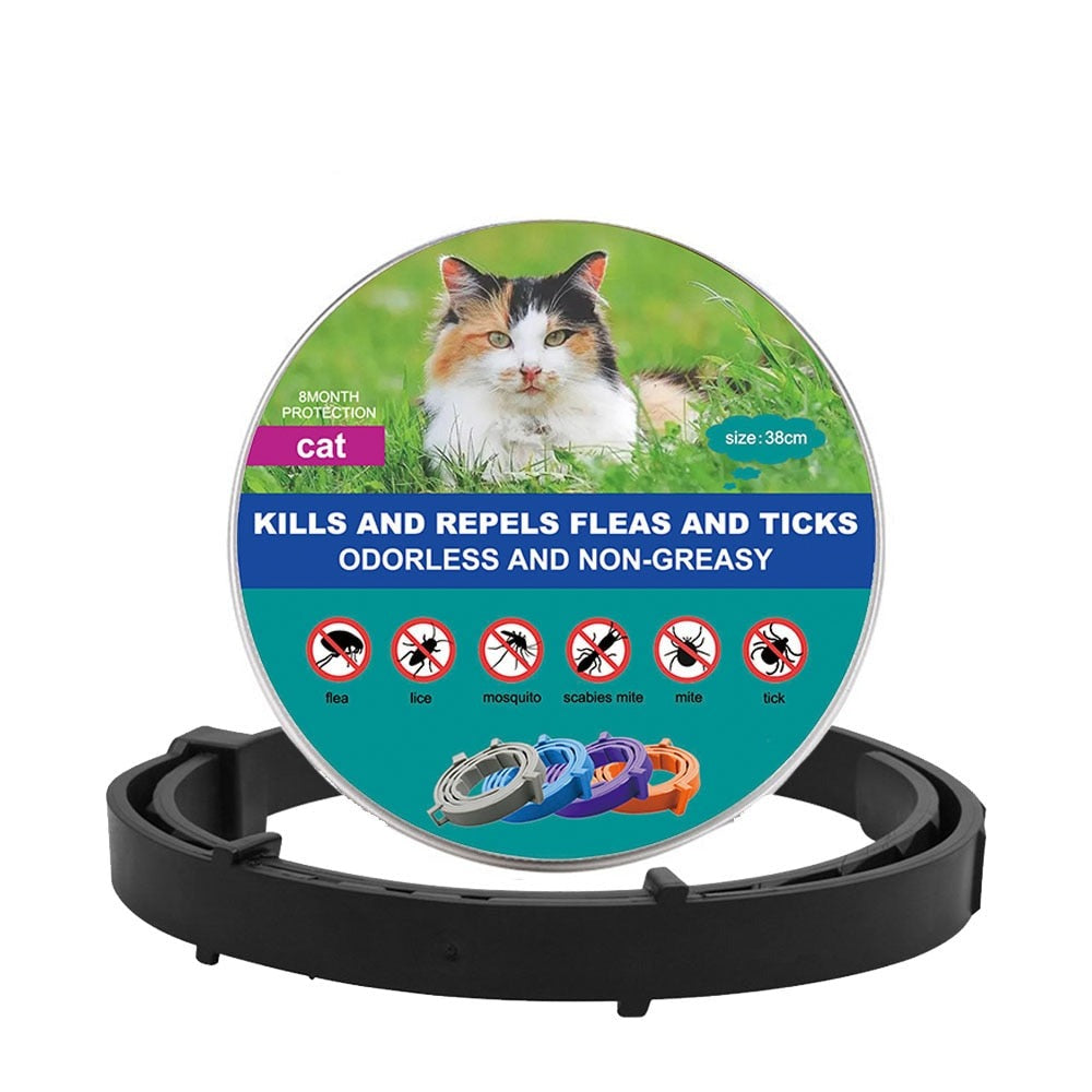 New Pet Dog Cat Collars Veterinary Anti Flea Tick For Cats Dogs