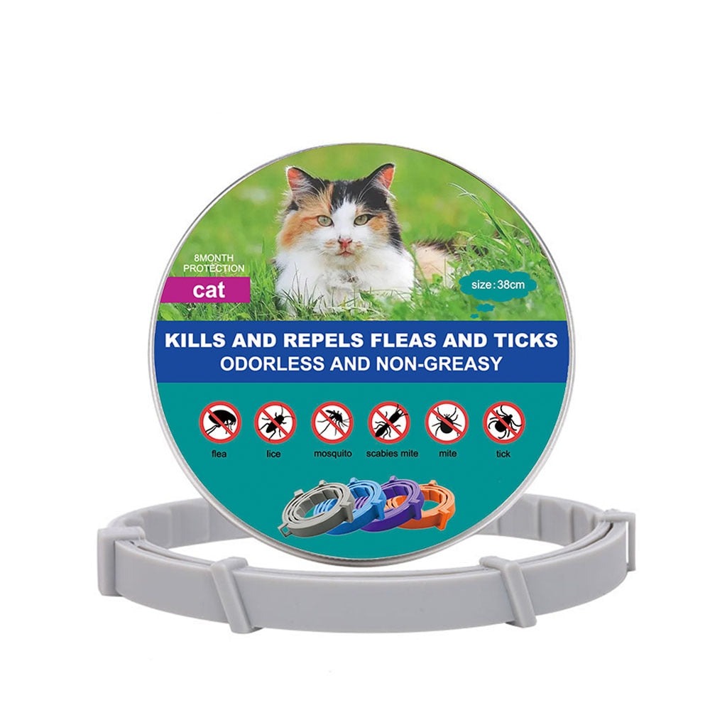 New Pet Dog Cat Collars Veterinary Anti Flea Tick For Cats Dogs