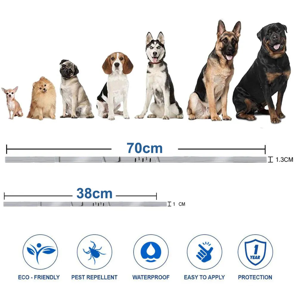 New Pet Dog Cat Collars Veterinary Anti Flea Tick For Cats Dogs