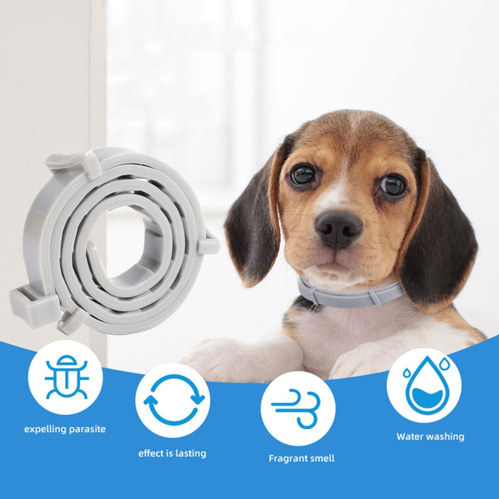 New Pet Dog Cat Collars Veterinary Anti Flea Tick For Cats Dogs