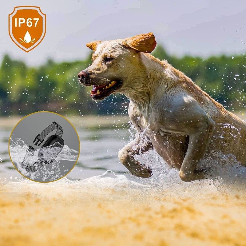 Anti Barking Dog Collar Rechargeable Automatic Stopper Effective Ip67 Waterproof Collars For