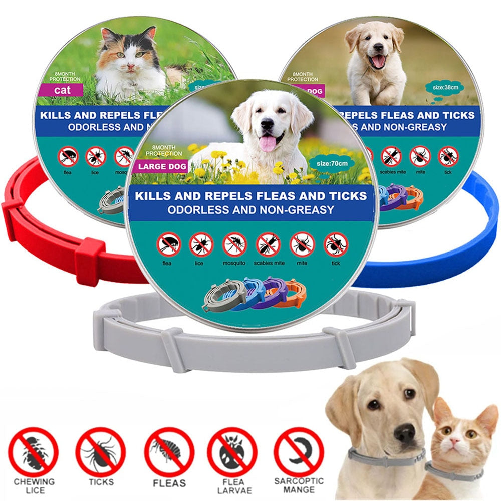 New Pet Dog Cat Collars Veterinary Anti Flea Tick For Cats Dogs
