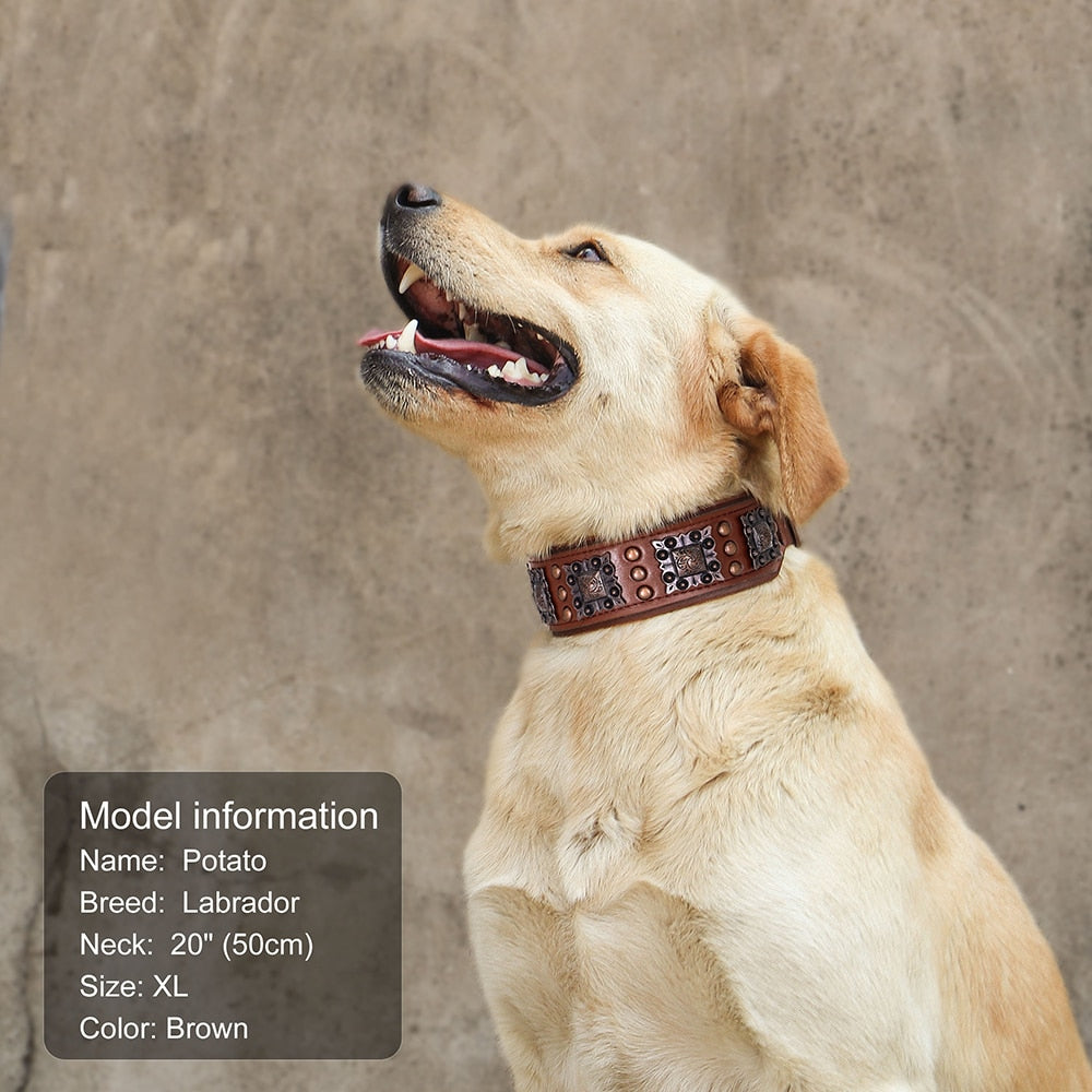 Stylish Rivets Leather Large Dog Collars