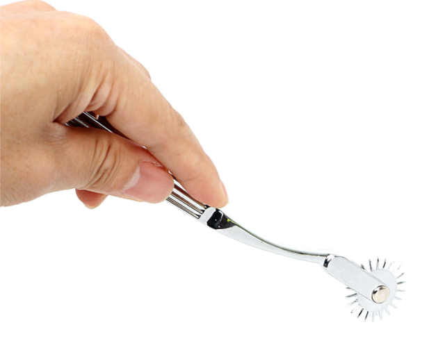 Spindle Nipple Roller Metal Wartenberg Wheel Bdsm Bondage