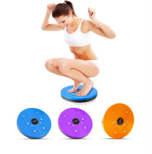 Twist Disc Gym Fitness Balance Board 360 Degree Spinning Plate