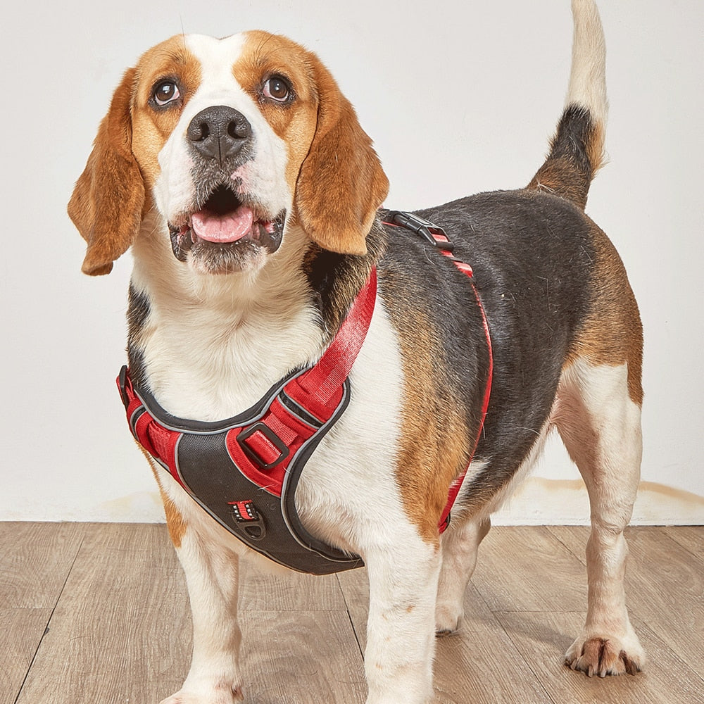 Dog Harness No Pull Outdoor Walking Breathable Reflective Small