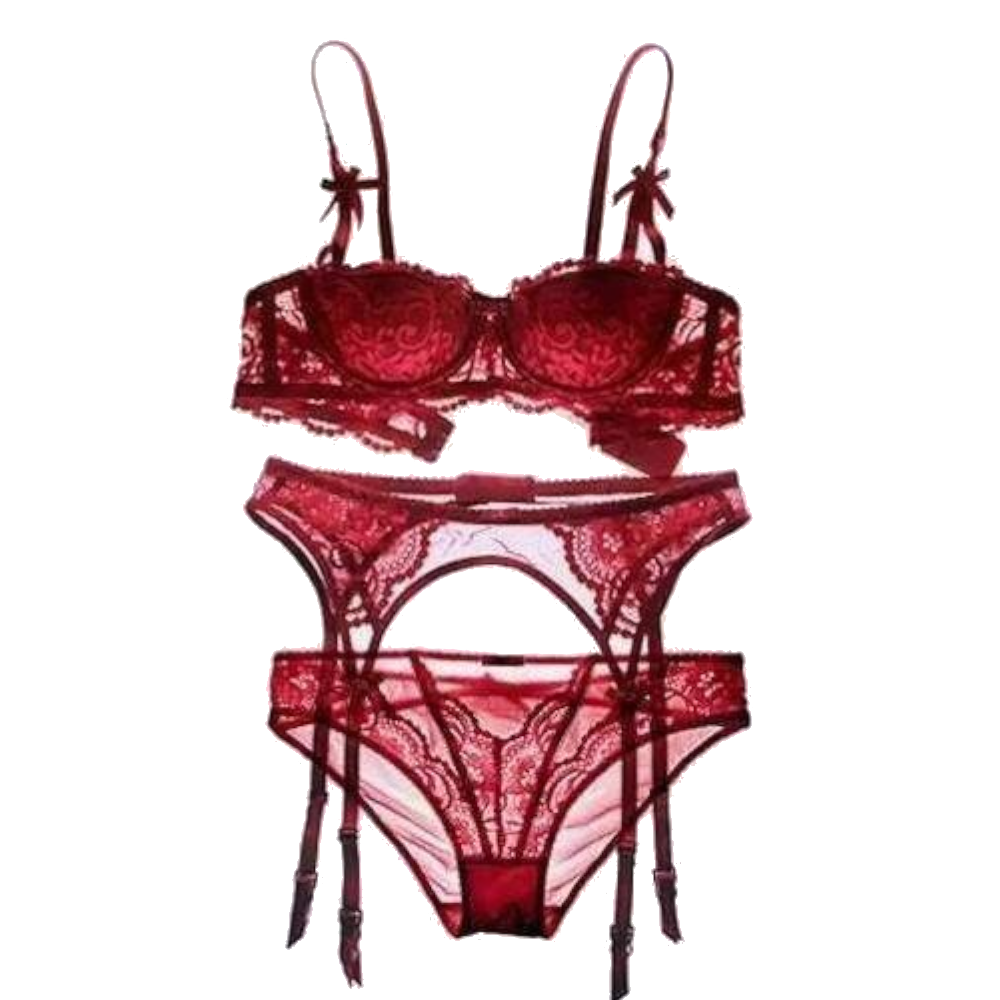 Seductress Lace Bra Panty Garter Set