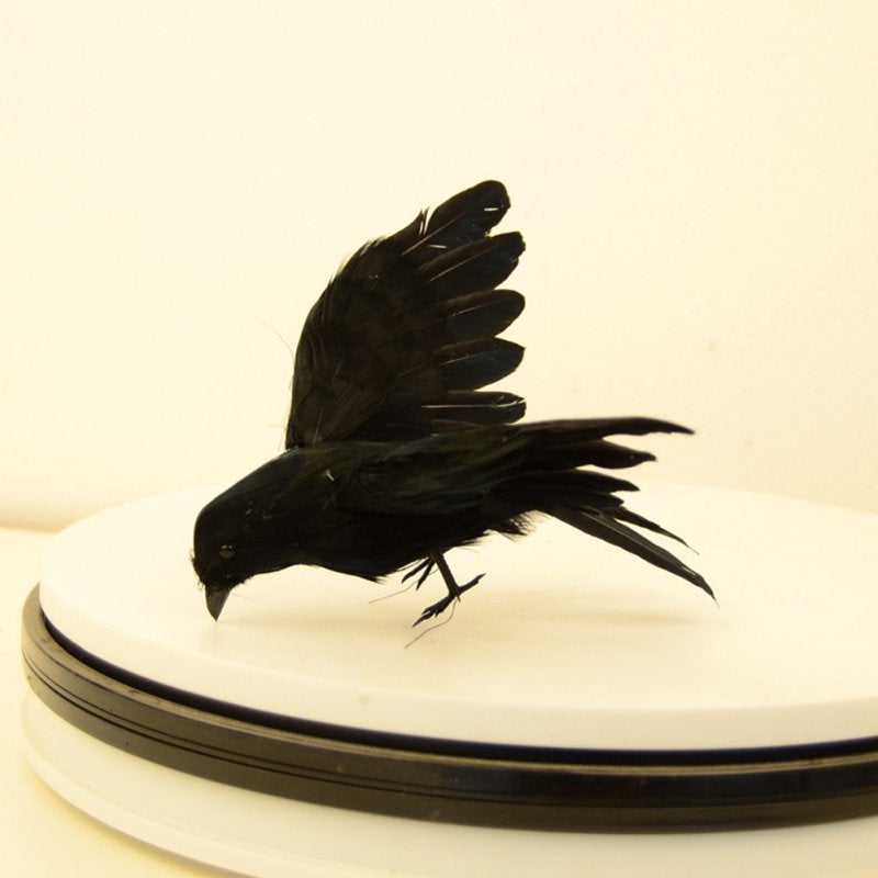 Simulate Black Crow Shape Decorative Prop For Halloween
