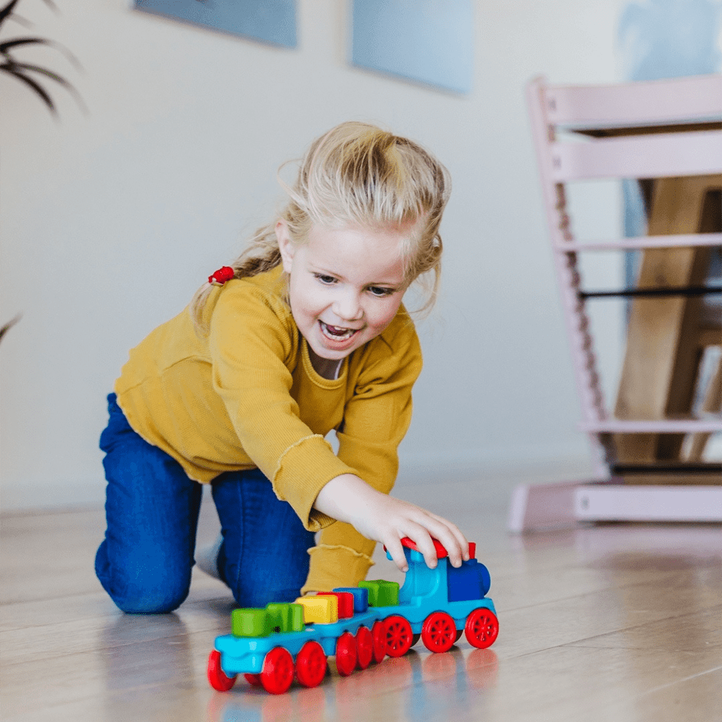 Smart Games Brain Train