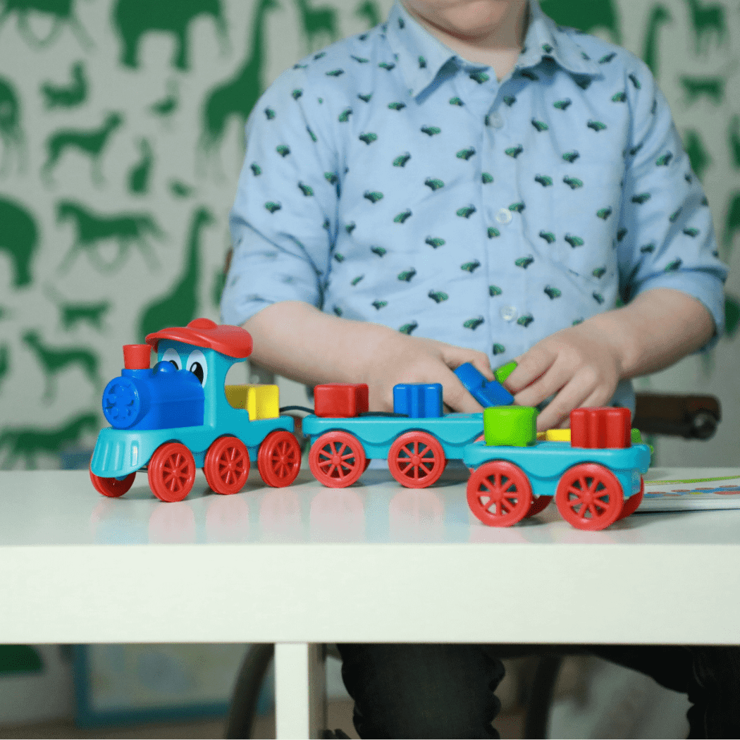 Smart Games Brain Train