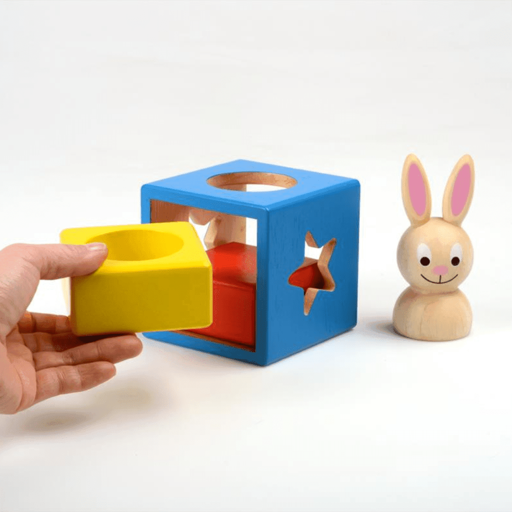 Smart Games Bunny Boo