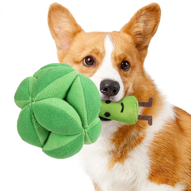 Snuffle Broccoli Dog Puzzle Toys Increase Iq Slow Dispensing Feeder Pet Cat