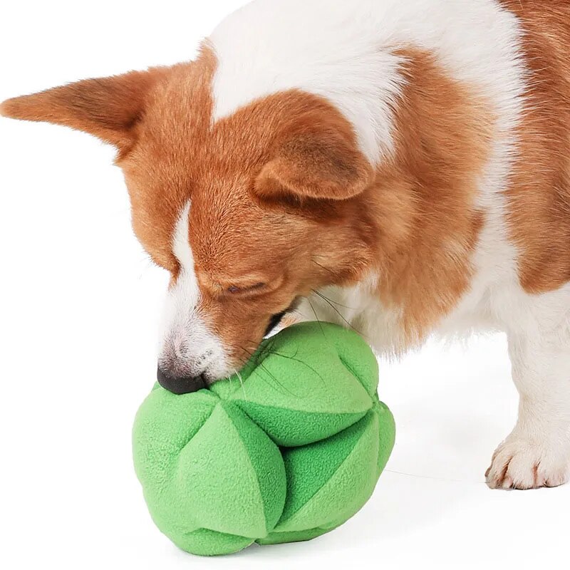 Snuffle Broccoli Dog Puzzle Toys Increase Iq Slow Dispensing Feeder Pet Cat
