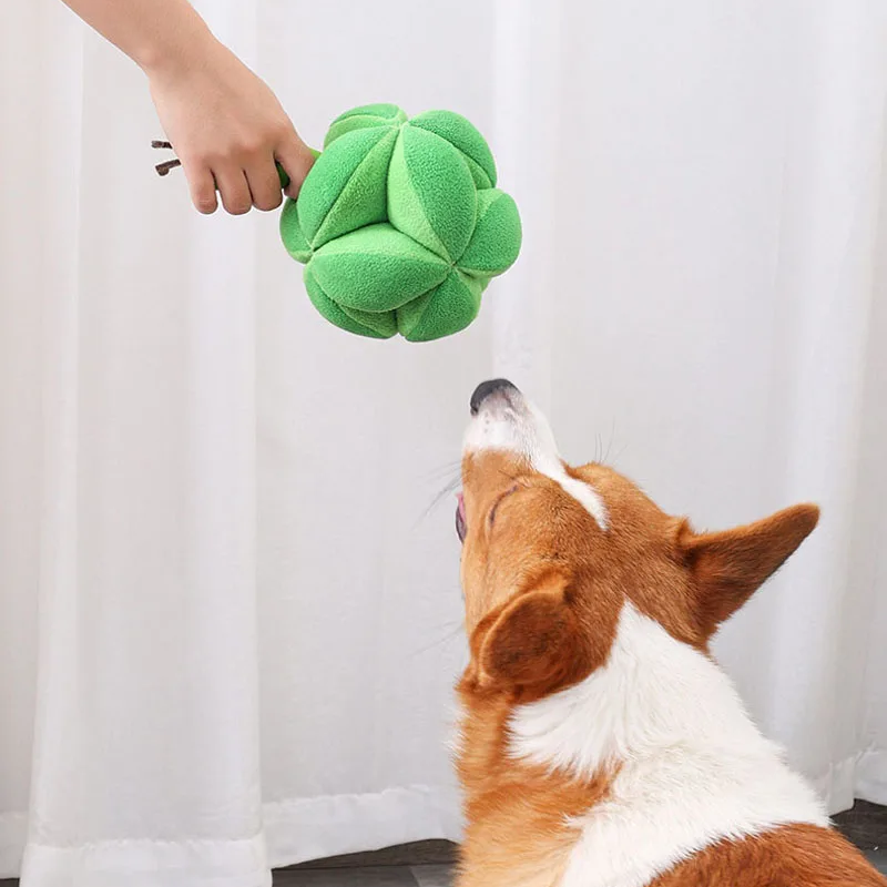Snuffle Broccoli Dog Puzzle Toys Increase Iq Slow Dispensing Feeder Pet Cat