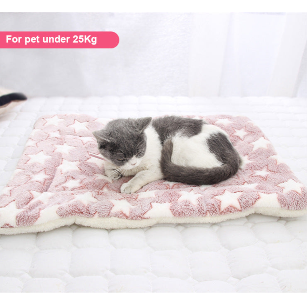 Soft Coral Fleece Warm Winter Dog Bed Pet Mat