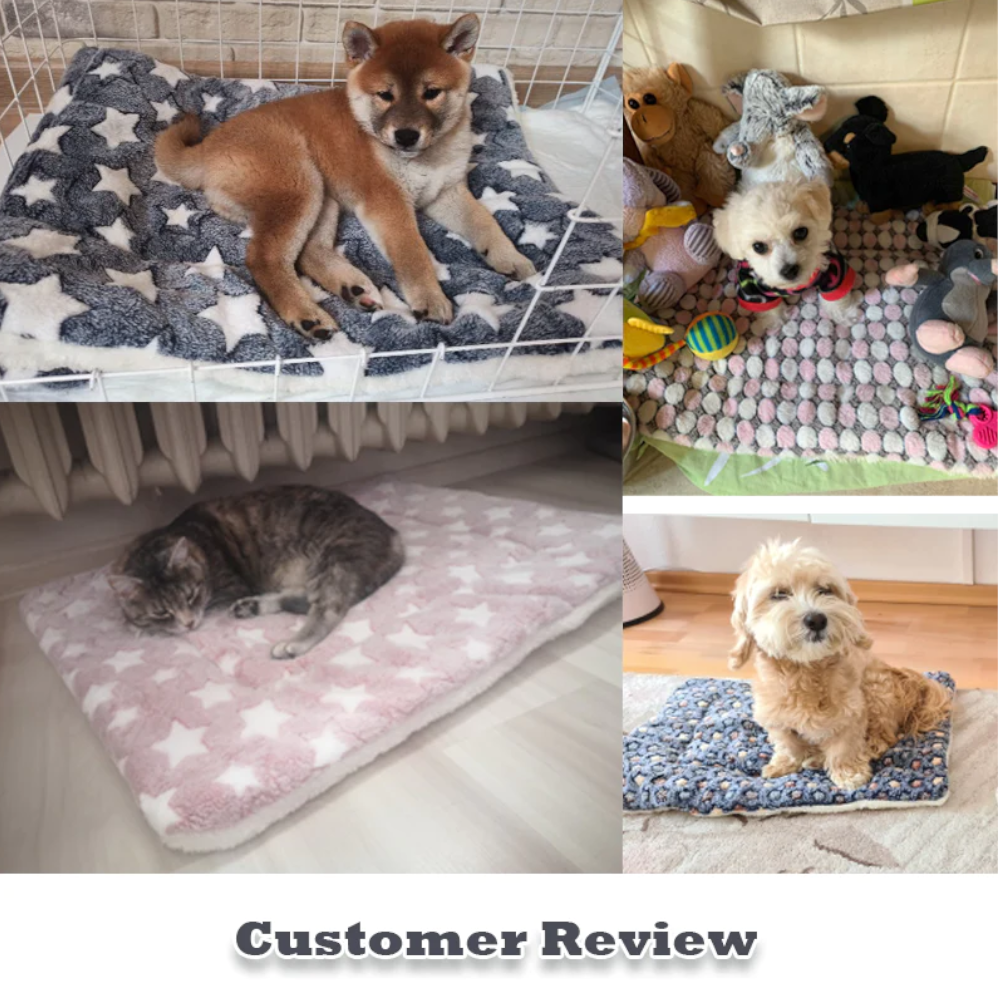 Soft Coral Fleece Warm Winter Dog Bed Pet Mat