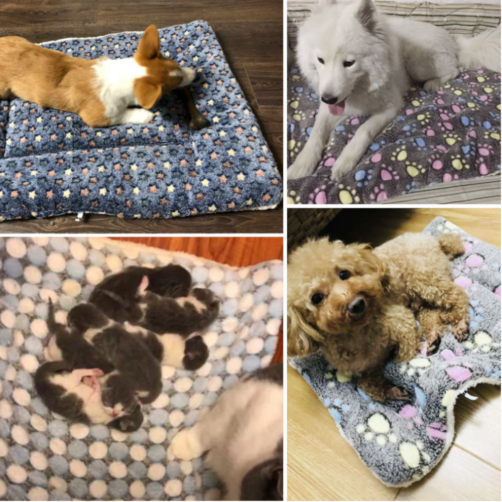 Soft Coral Fleece Warm Winter Dog Bed Pet Mat