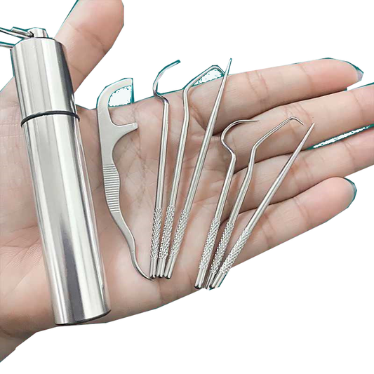 Stainless Steel Toothpick 304 Household Portable Cleaning Tool Set 7Pcs