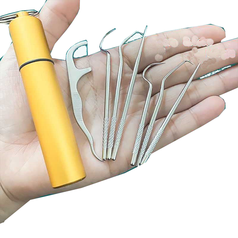 Stainless Steel Toothpick 304 Household Portable Cleaning Tool Set 7Pcs