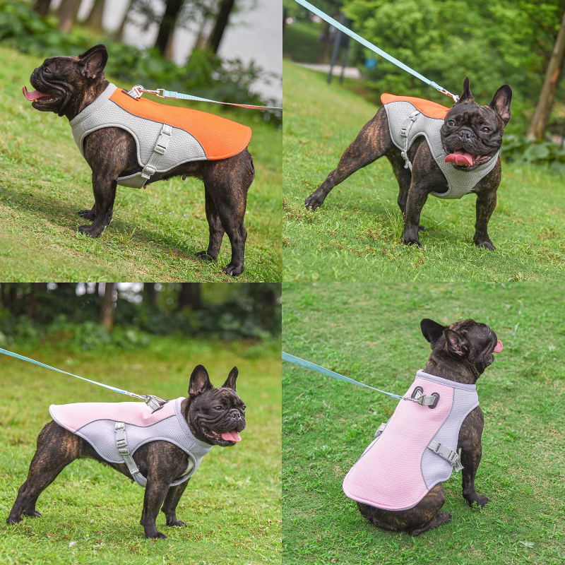 Summer Pet Dog Breathable Cooling Vest Harness
