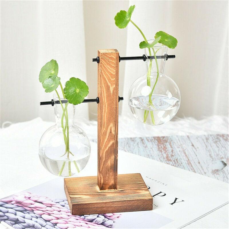 Duo Terrarium Vase Indoor Plants Decor