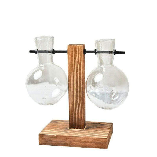 Duo Terrarium Vase Indoor Plants Decor