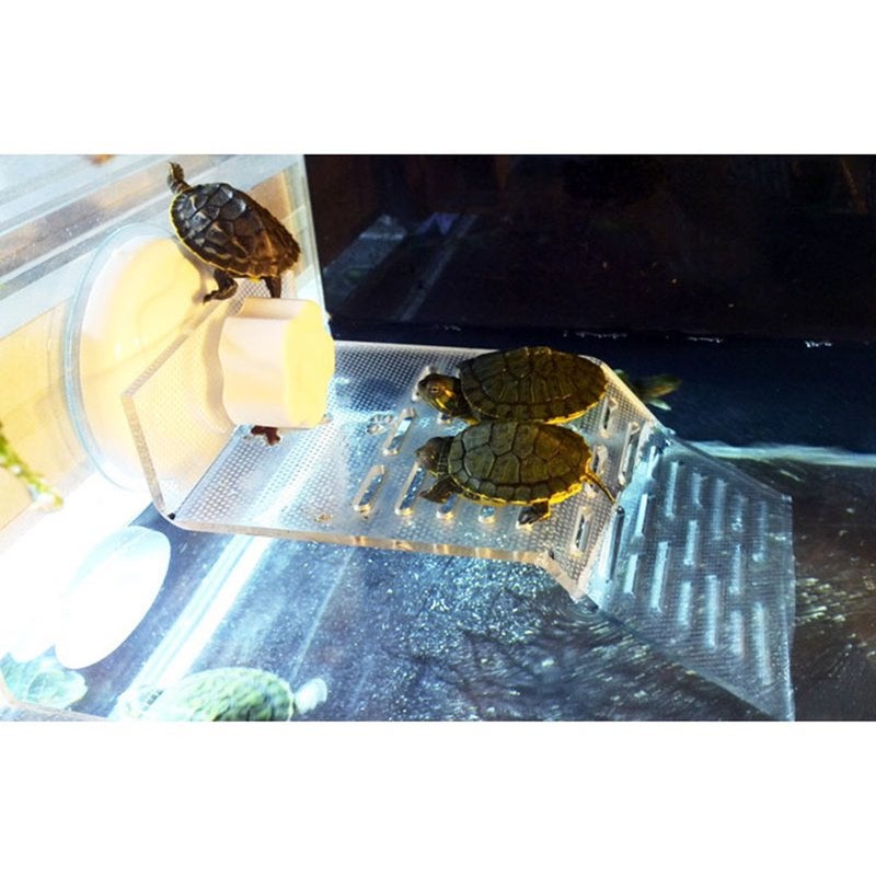 Transparent Tortoise Crawler Roof Terrace Pool Floating Island Dorsal Bask Platform Aquarium Decoration Large Length 25