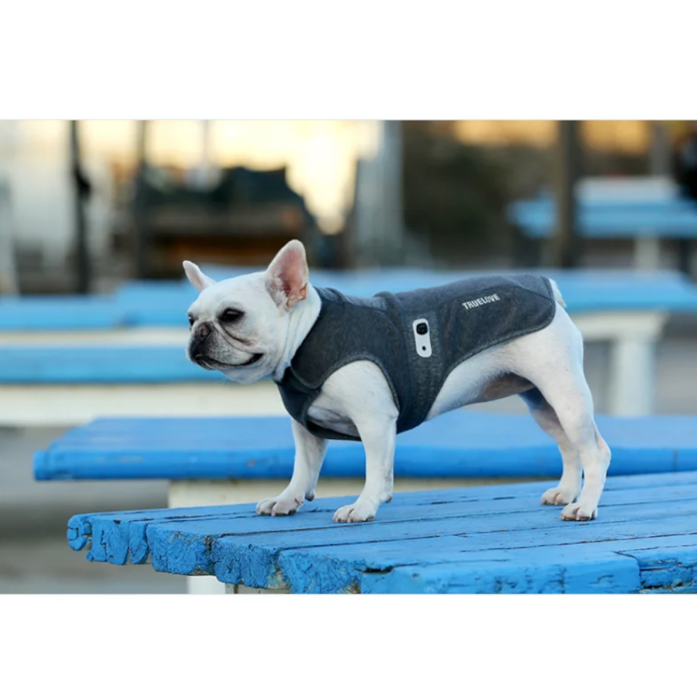 True Love Coat Charcoal 3Xs