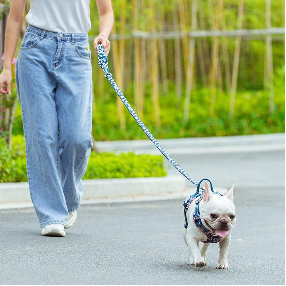 True Love Floral Multi Handle Dog Lead Blue S