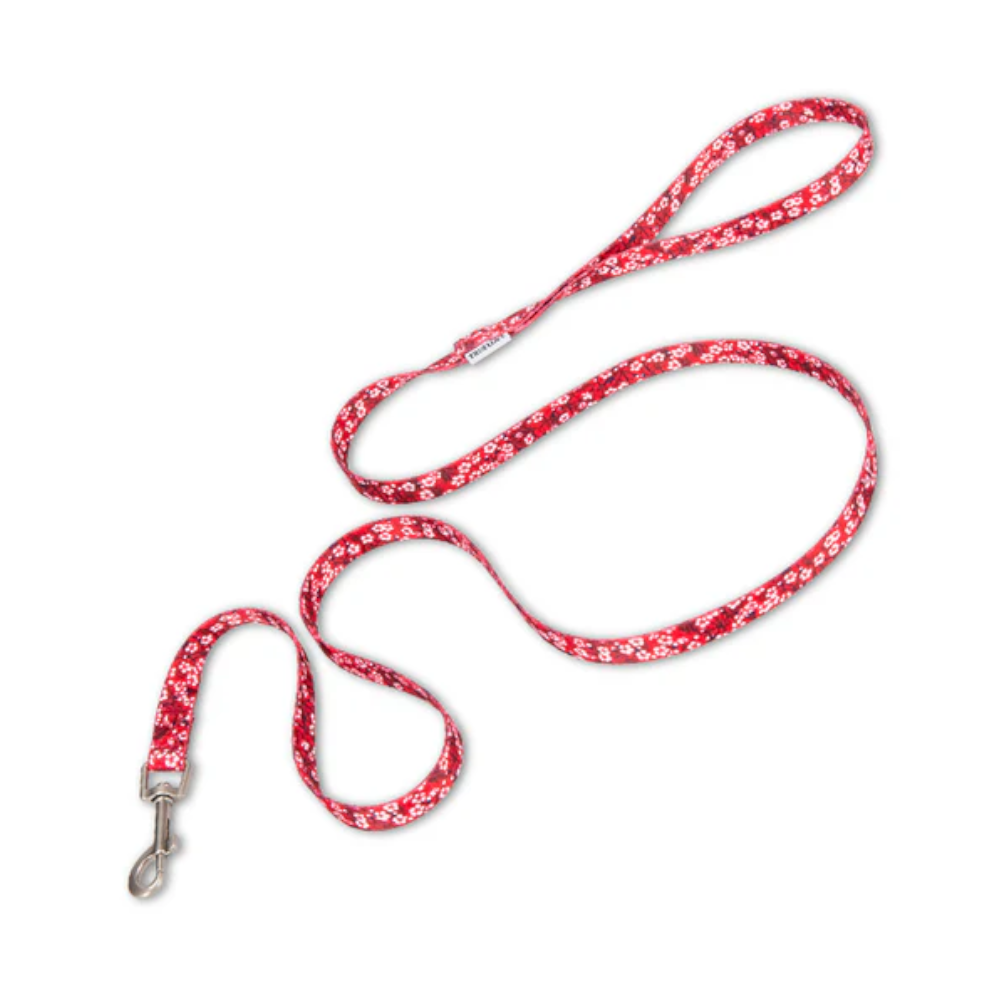 True Love Floral Multi Handle Dog Lead Red