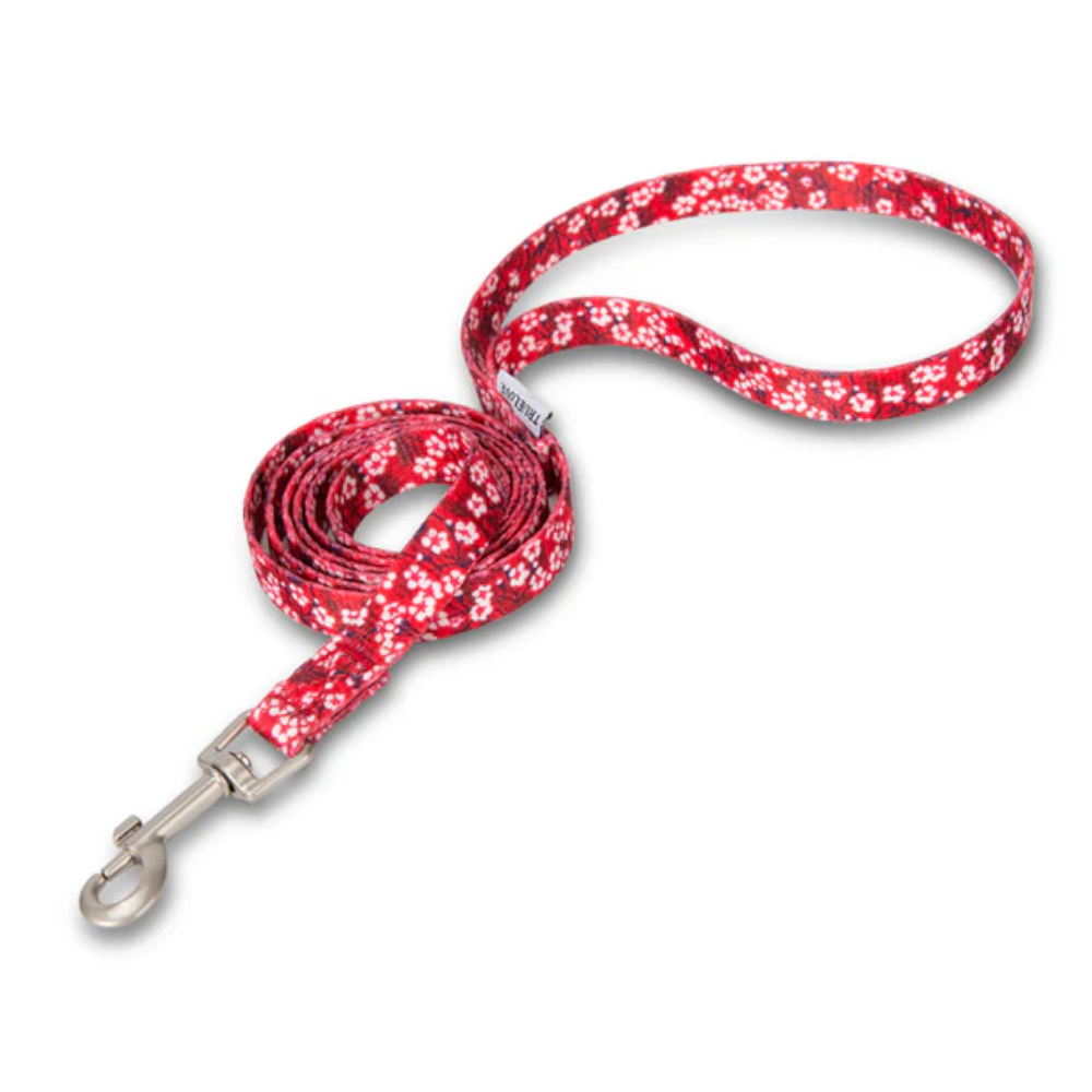True Love Floral Multi Handle Dog Lead Red